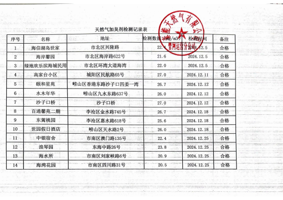 2024年12月《天然氣加臭劑檢測(cè)記錄表》_00(1).png